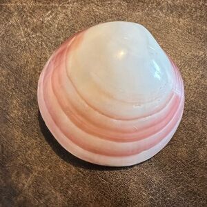 Vintage Polished Pink Clam Shell Tiger Belt Buckle Boho Coastal